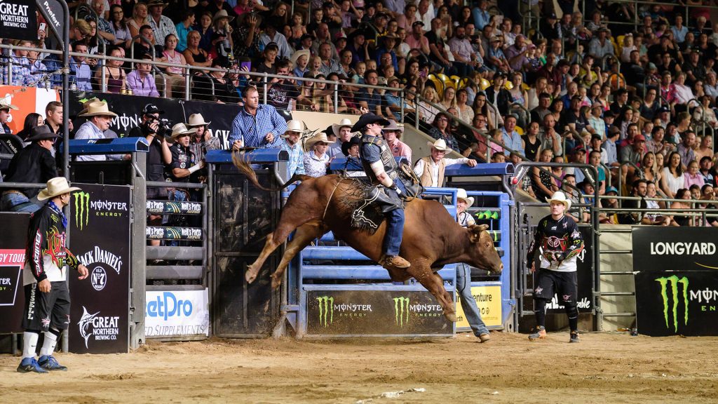Pro Bull Rider leaving the gates on a bucking bull at Tamworth arena
