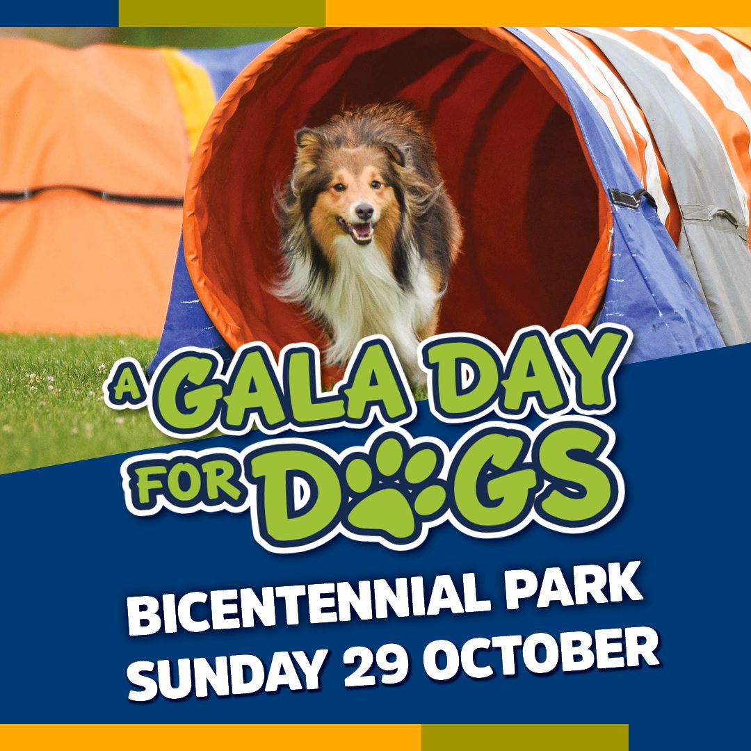 2023 Gala Day for Dogs 1080 x 1080