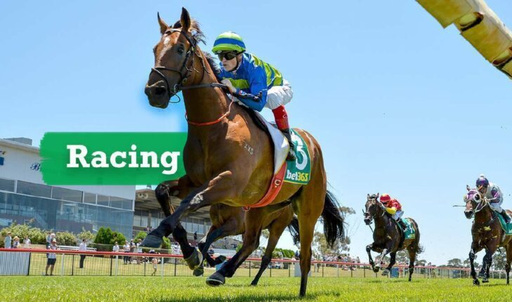 Barraba Cup Day