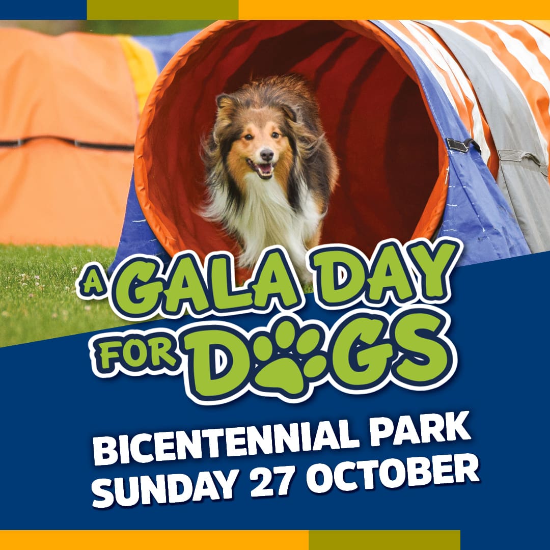 A Gala Day for Dogs