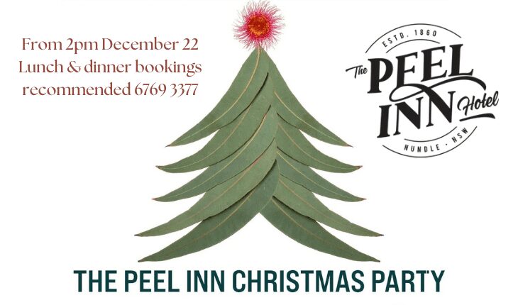 The Peel Inn Christmas Party