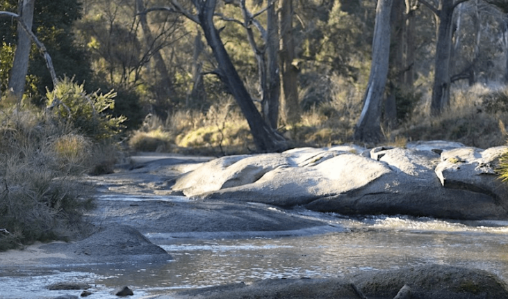 Bendemeer Community Event – Discover the Macdonald River