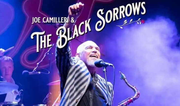 the-black-sorrows