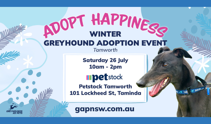 Winter Greyhound Adoption Day