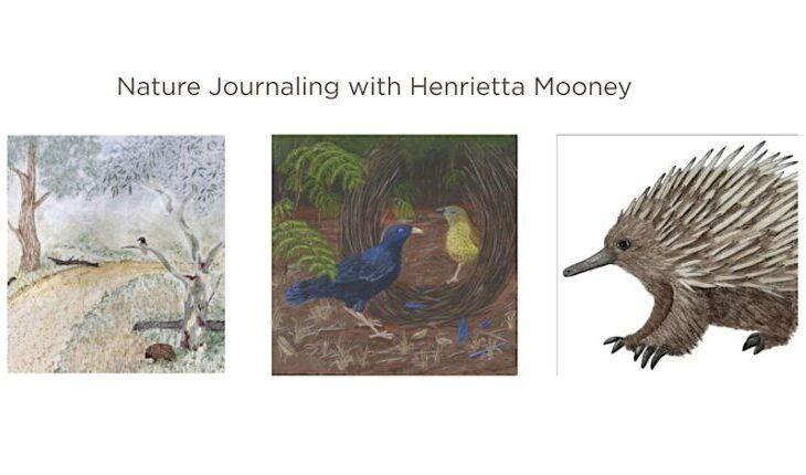 Nature Journaling with Henrietta Mooney