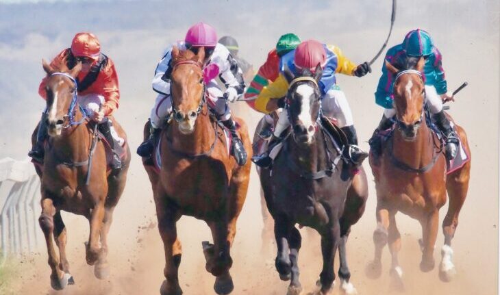 2025 Barraba Races