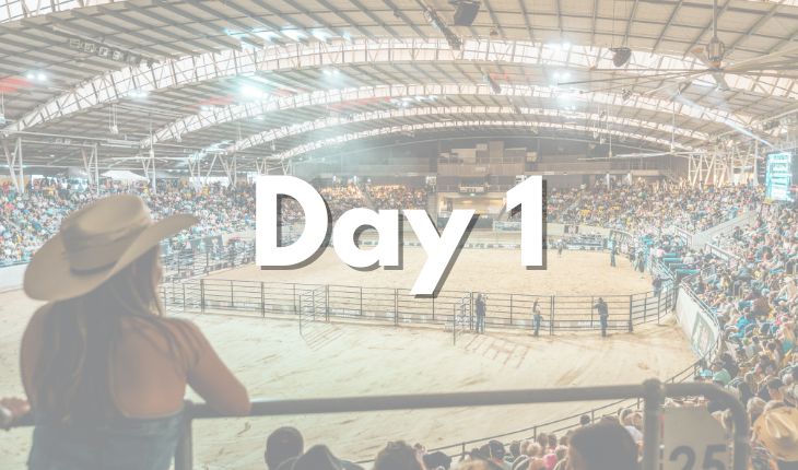 Country Music Festival Day 1