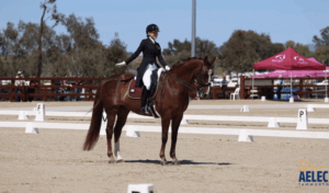 2026 Tamworth Dressage Club Competition