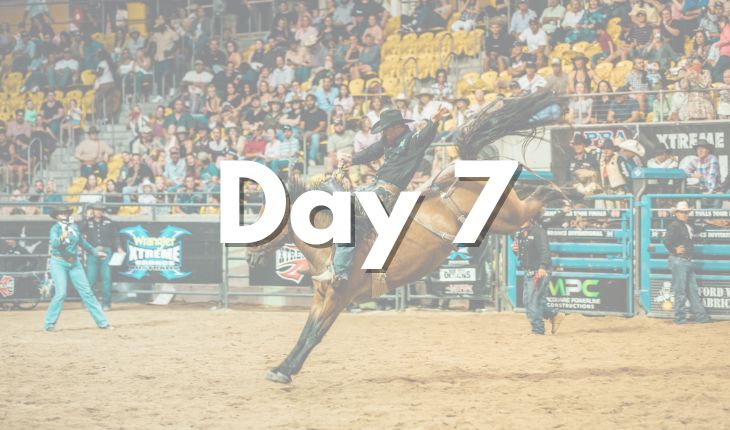 Country Music Festival Day 7