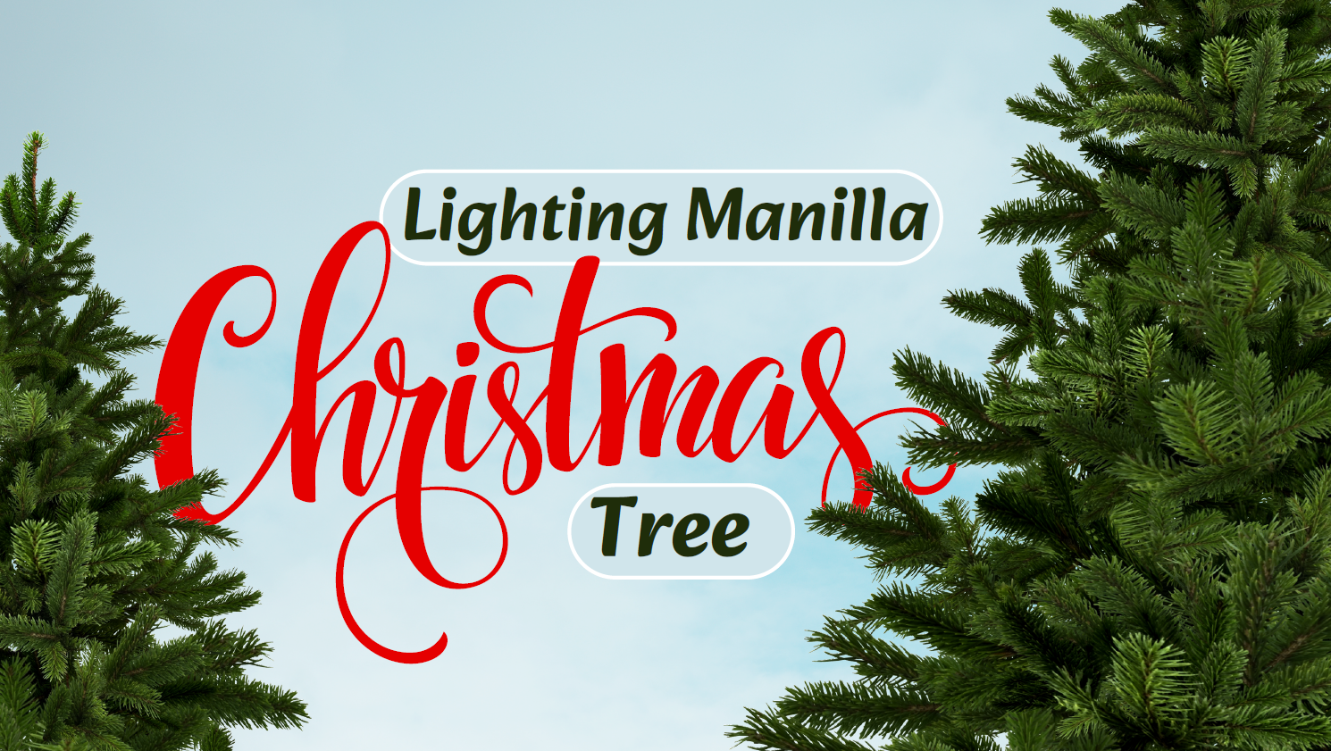 Lighting of Manilla Christmas Tree
