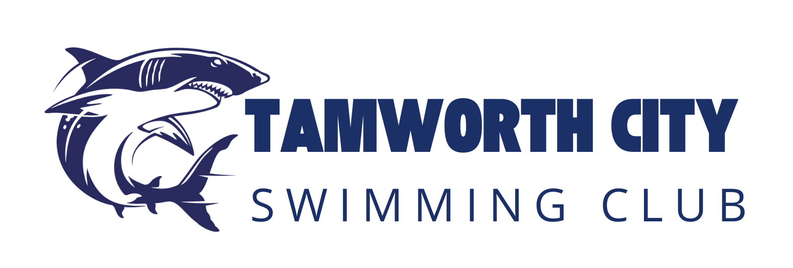 Tamworth City Swimming Club – Intensive lessons