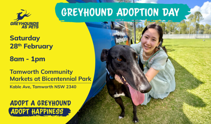 626792304_1431740822330190_3586306377777985426_n