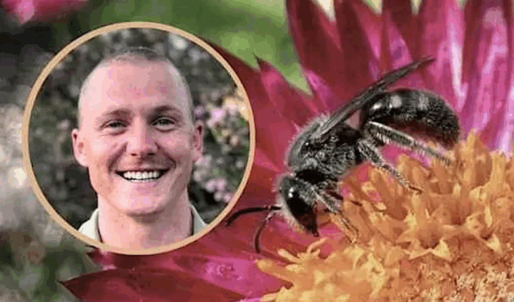 Clancy Lester – The Bee Man Native Bees & Biodiversity