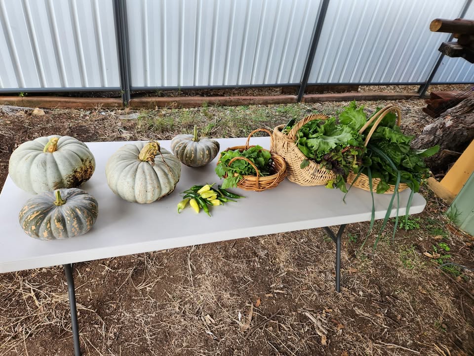 Nemingha Community Garden