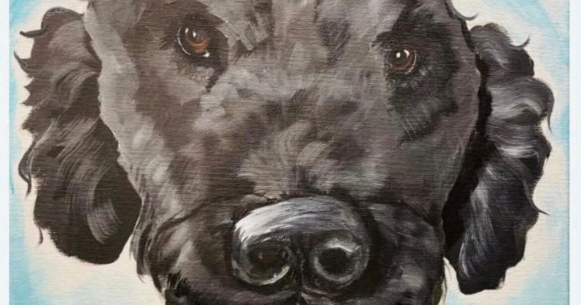 Paint your Pet
