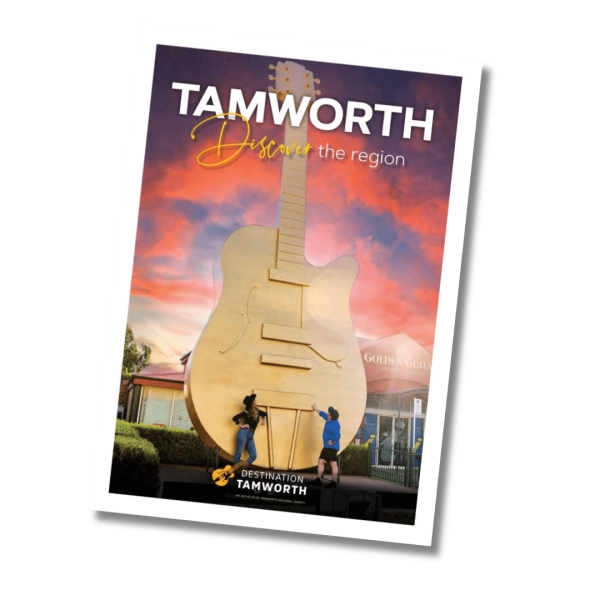 Untitled design (11)